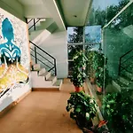 Raccoon Rooms
