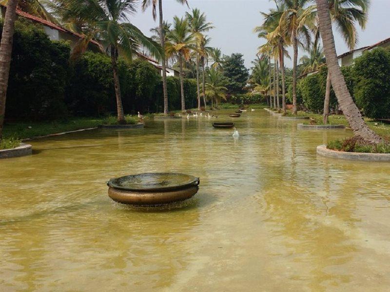 The Windflower & Spa, Resort 5*