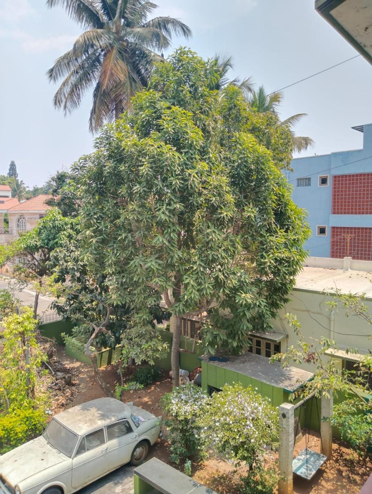 Shanthi House Guest house *
