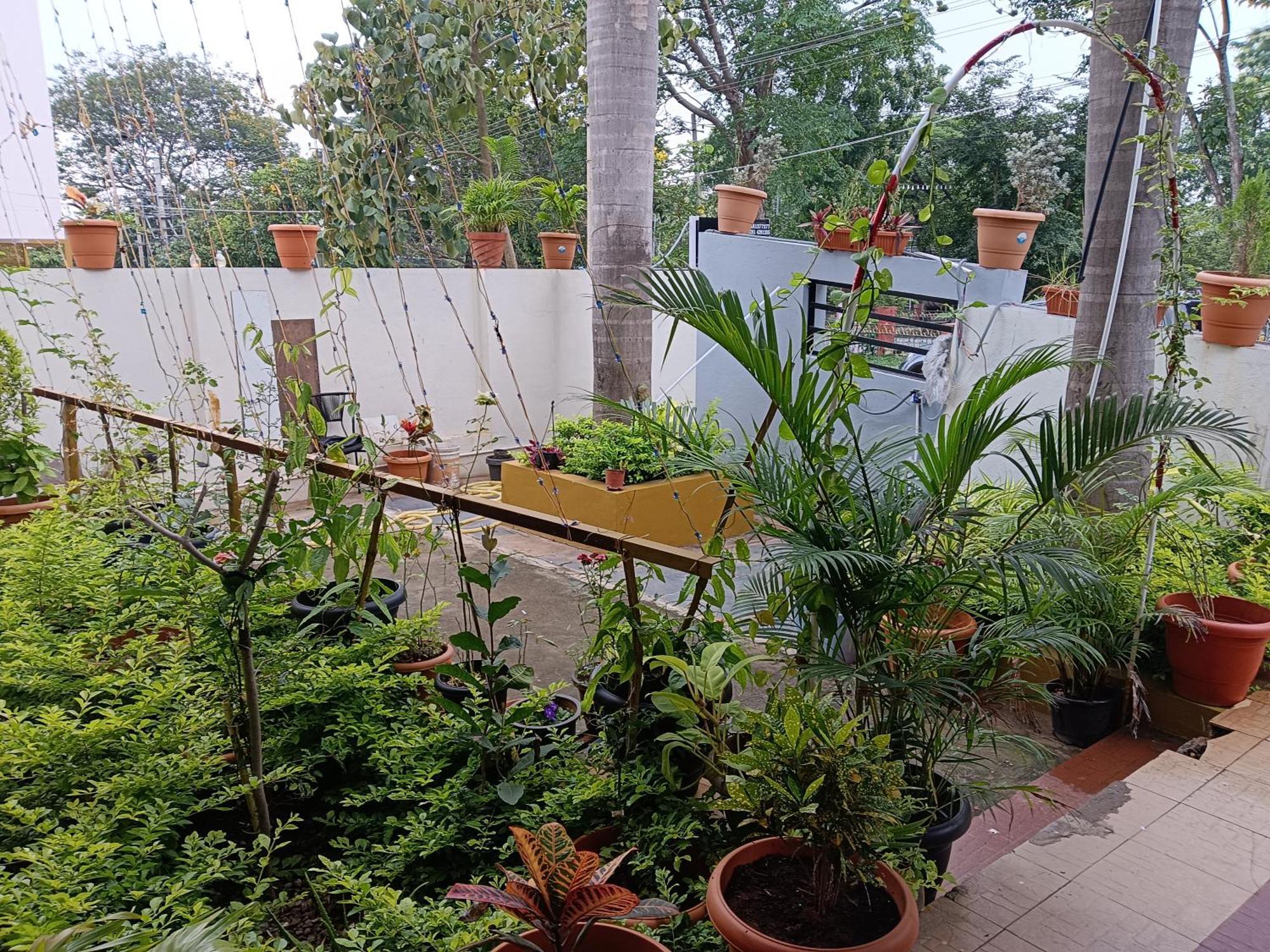 Selfie Homestay Mysore