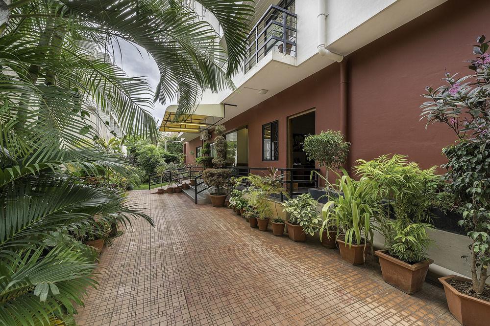 Urban Oasis Apartment