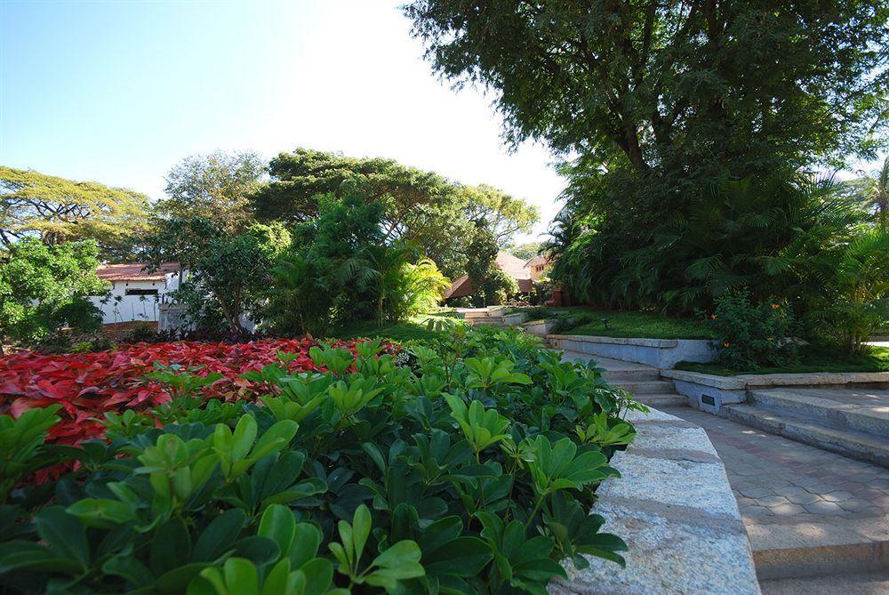 Resort The Windflower & Spa,
