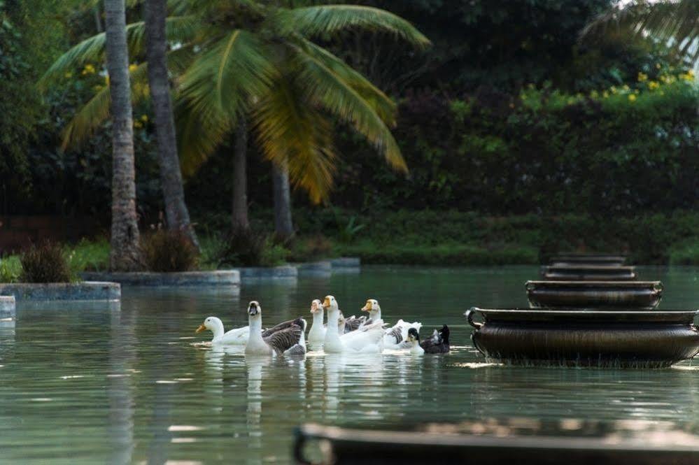 The Windflower & Spa, 5* Mysore