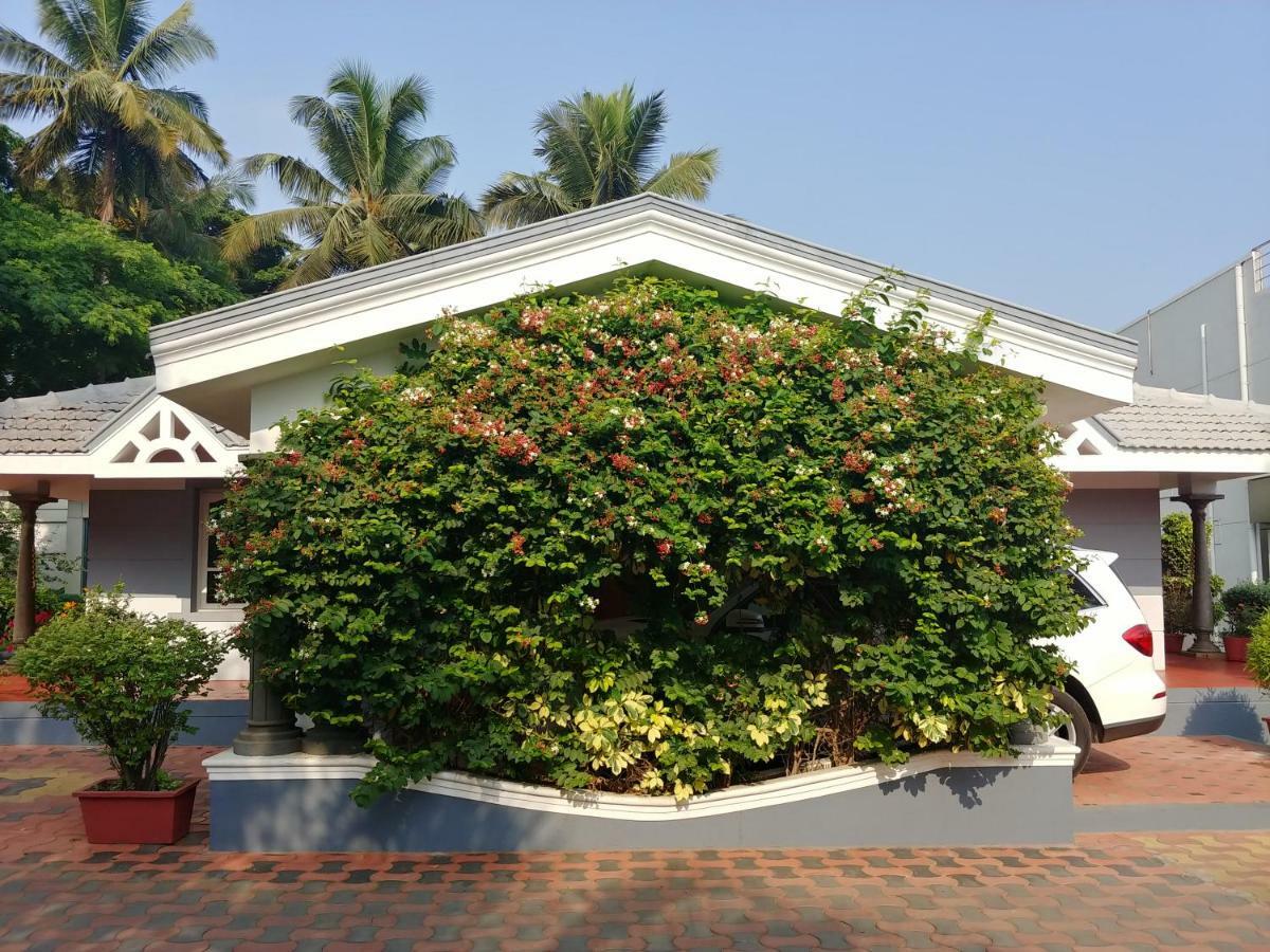 Resort The Cute