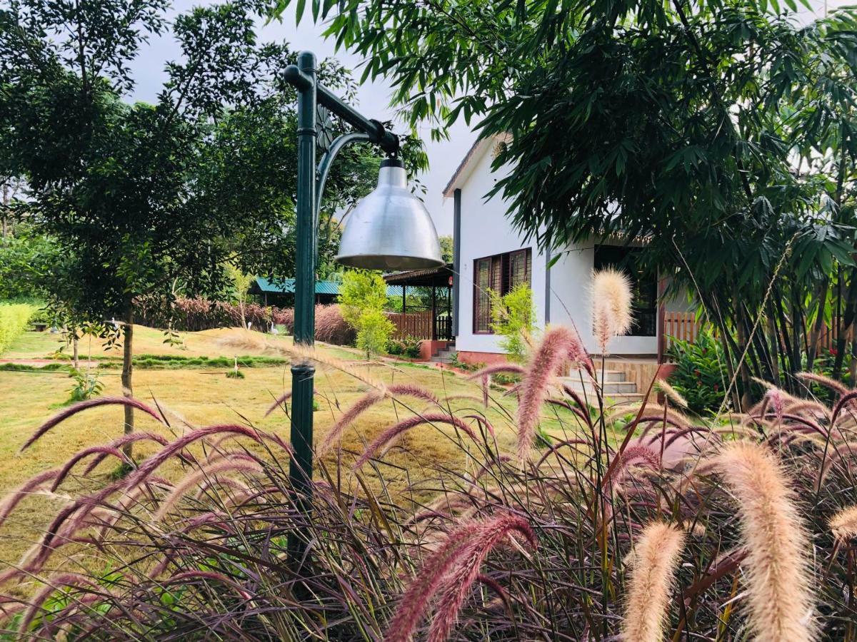 1000 Silvers -farm Mysore