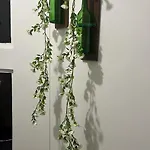 Kk Enclave Service Apartment 3