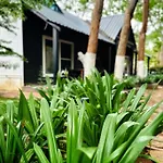 1000 Silvers -Farm Stay