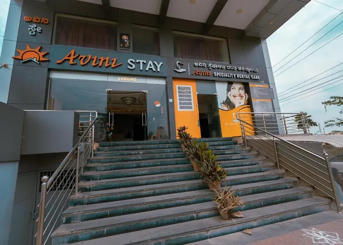 Avini Stay