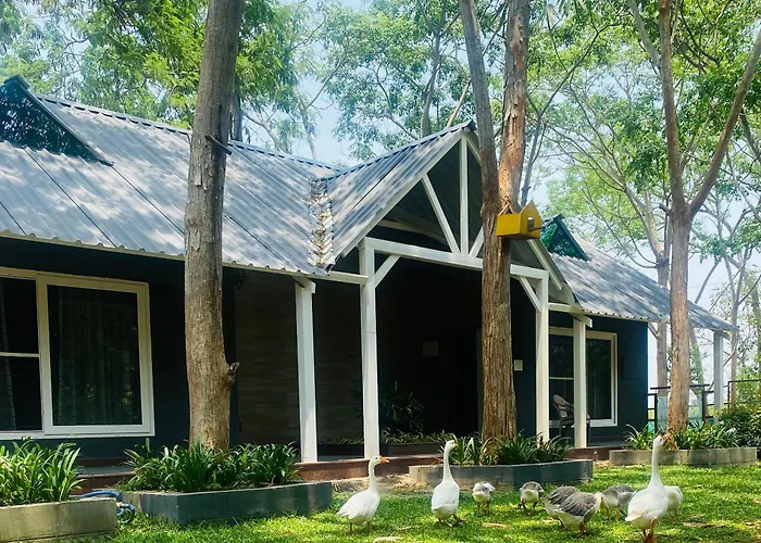 Silver Woods Farm Stay