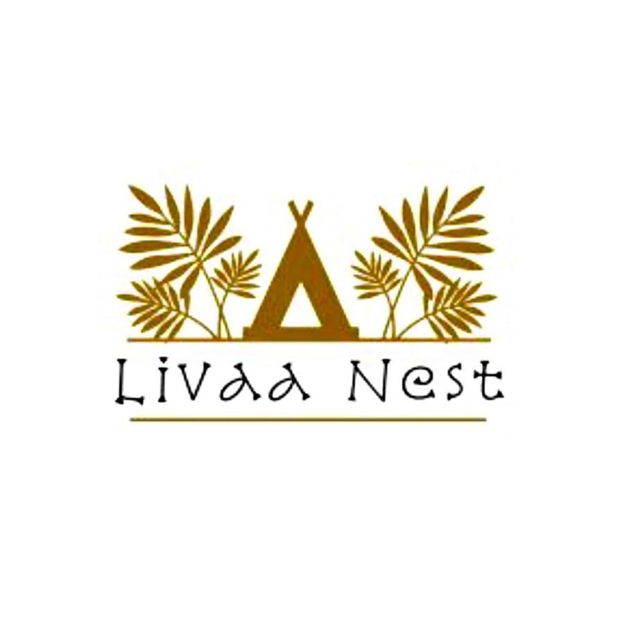 Livaa Nest *