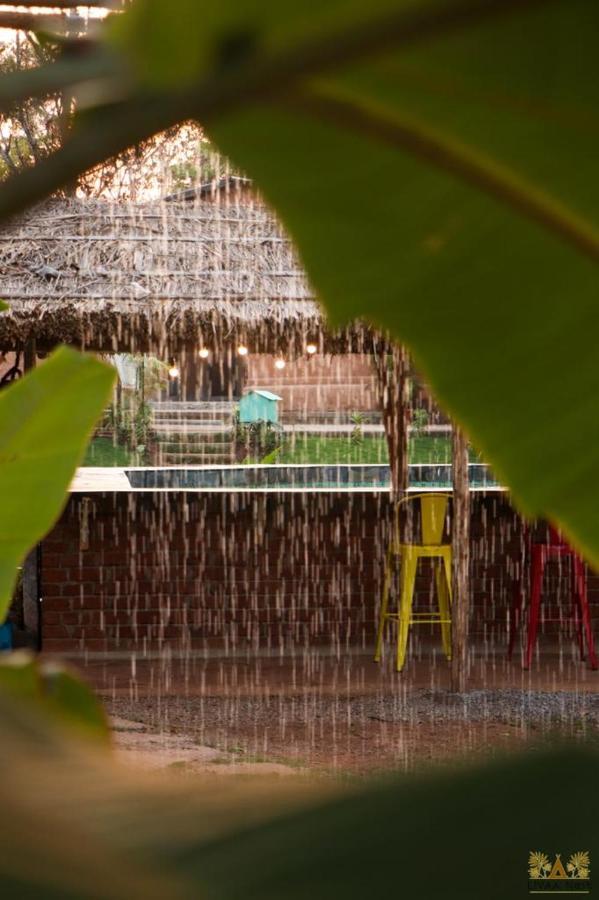 Lodge Livaa Nest Mysore