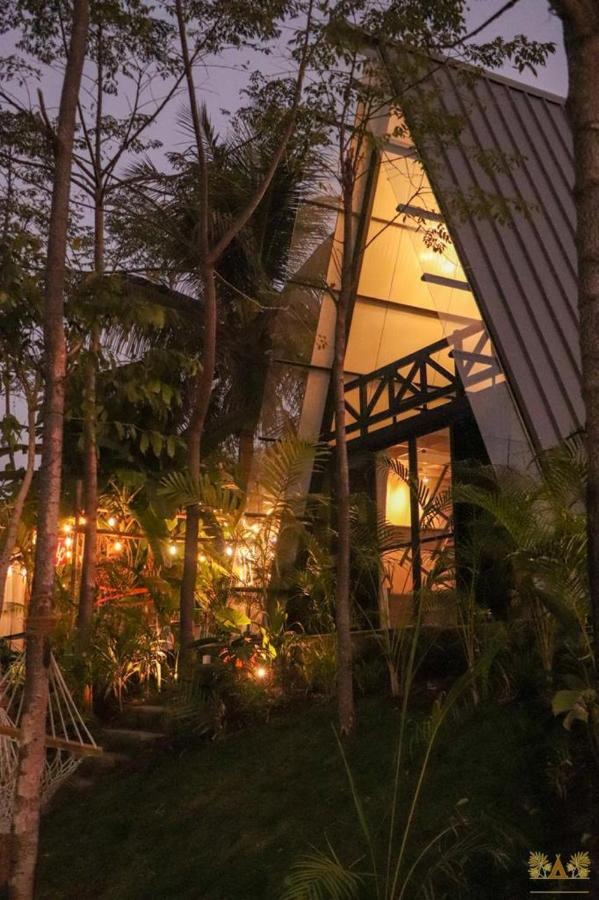 Livaa Nest Mysore