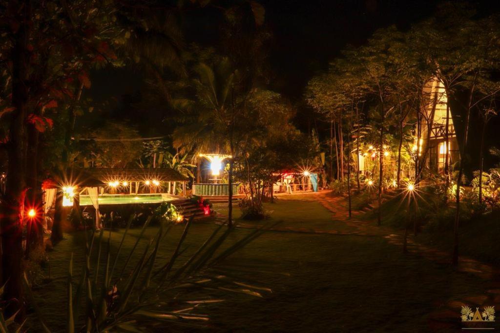 Livaa Nest Lodge
