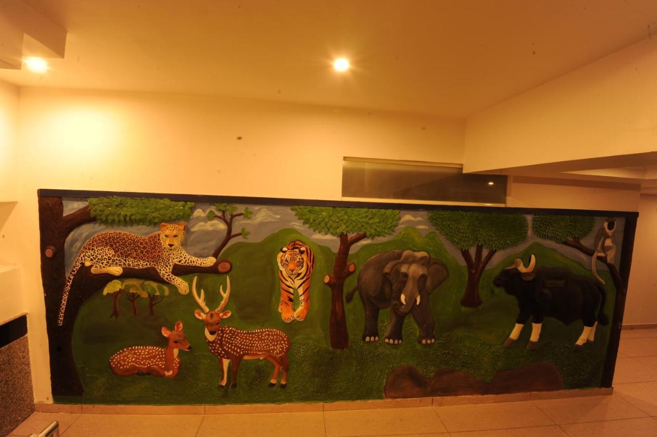 Mc Mysore