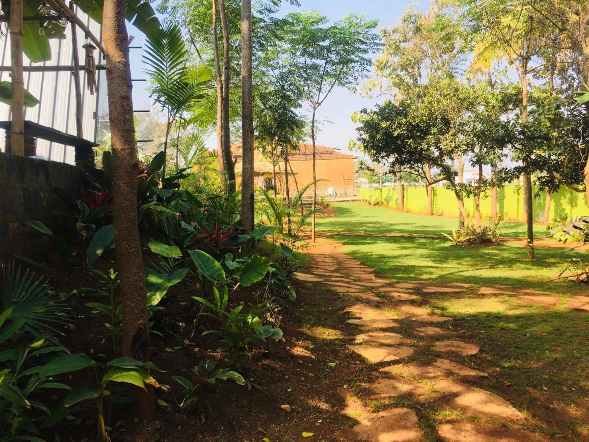 Livaa Nest Mysore