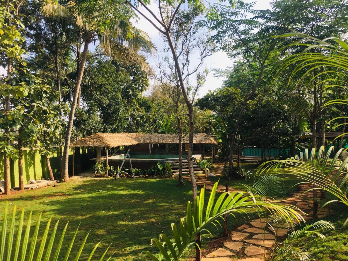 Lodge Livaa Nest Mysore