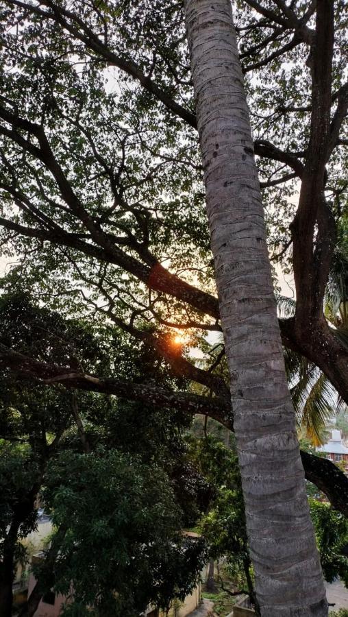 Raintree Garden Guest house