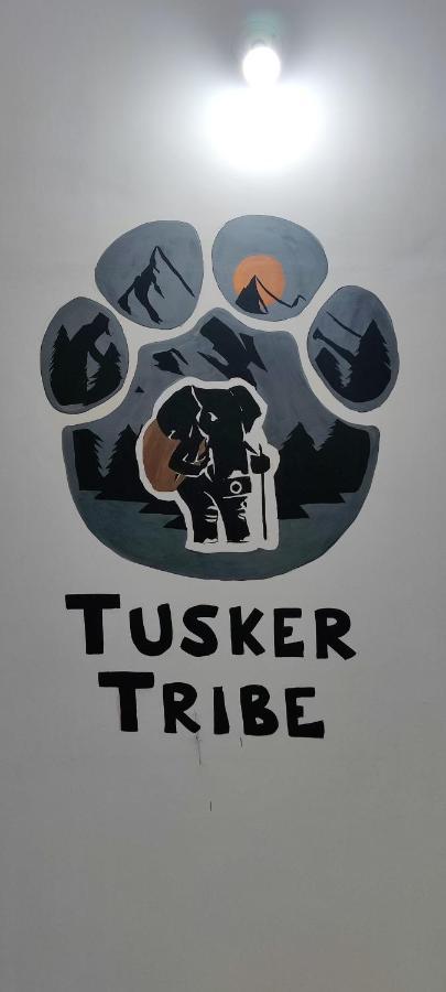 Tusker Tribe Hostel *