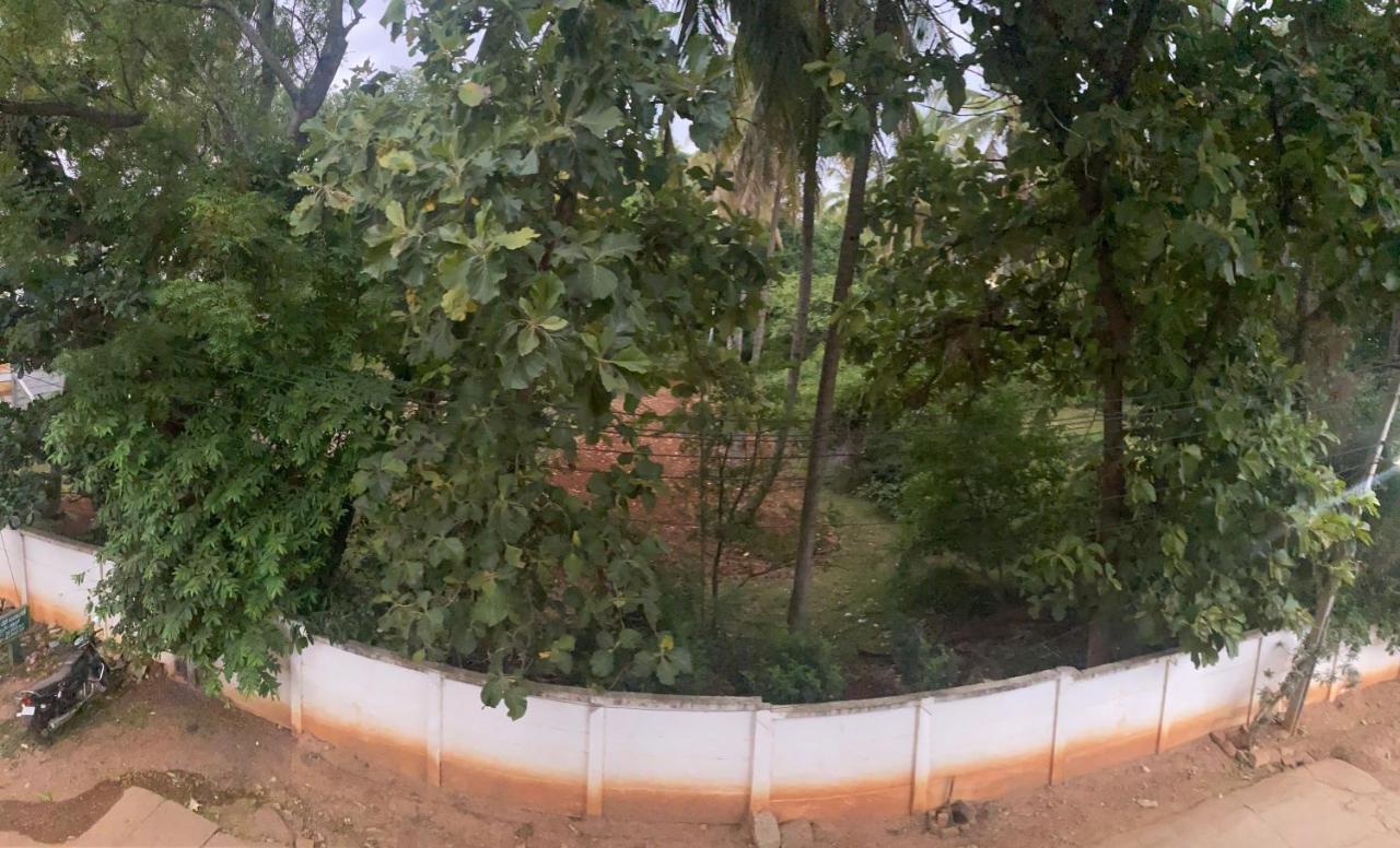 Lovely Private Queen Bed In Shared 2 Bhk Mysore