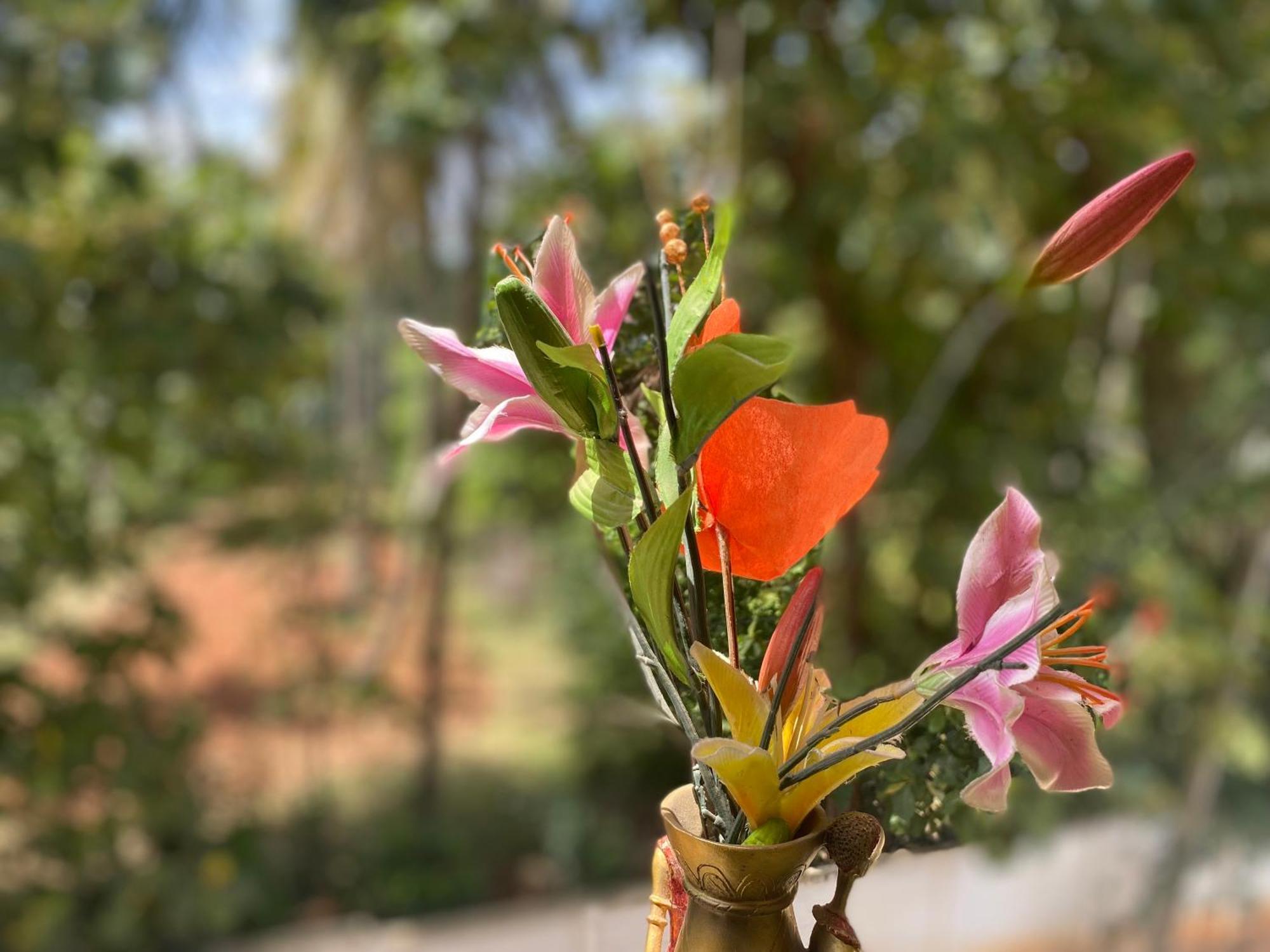 Apartment Spacious Queen Bed 6km To Palace, Free Wi-fi, Books, Toys, Smart Tv Mysore
