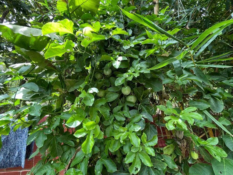 'vrindavan' In Heritage Villa *