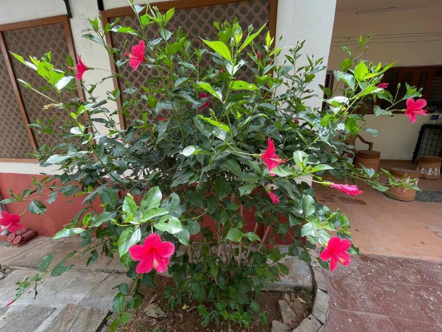 'vrindavan' In Heritage Villa *