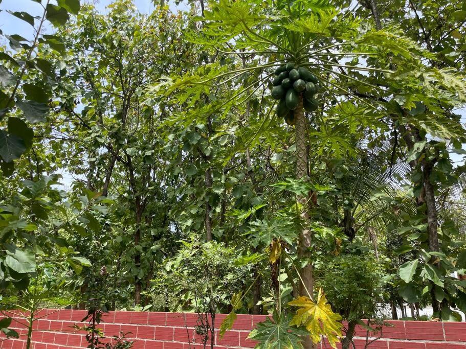 'vrindavan' In Heritage Villa
