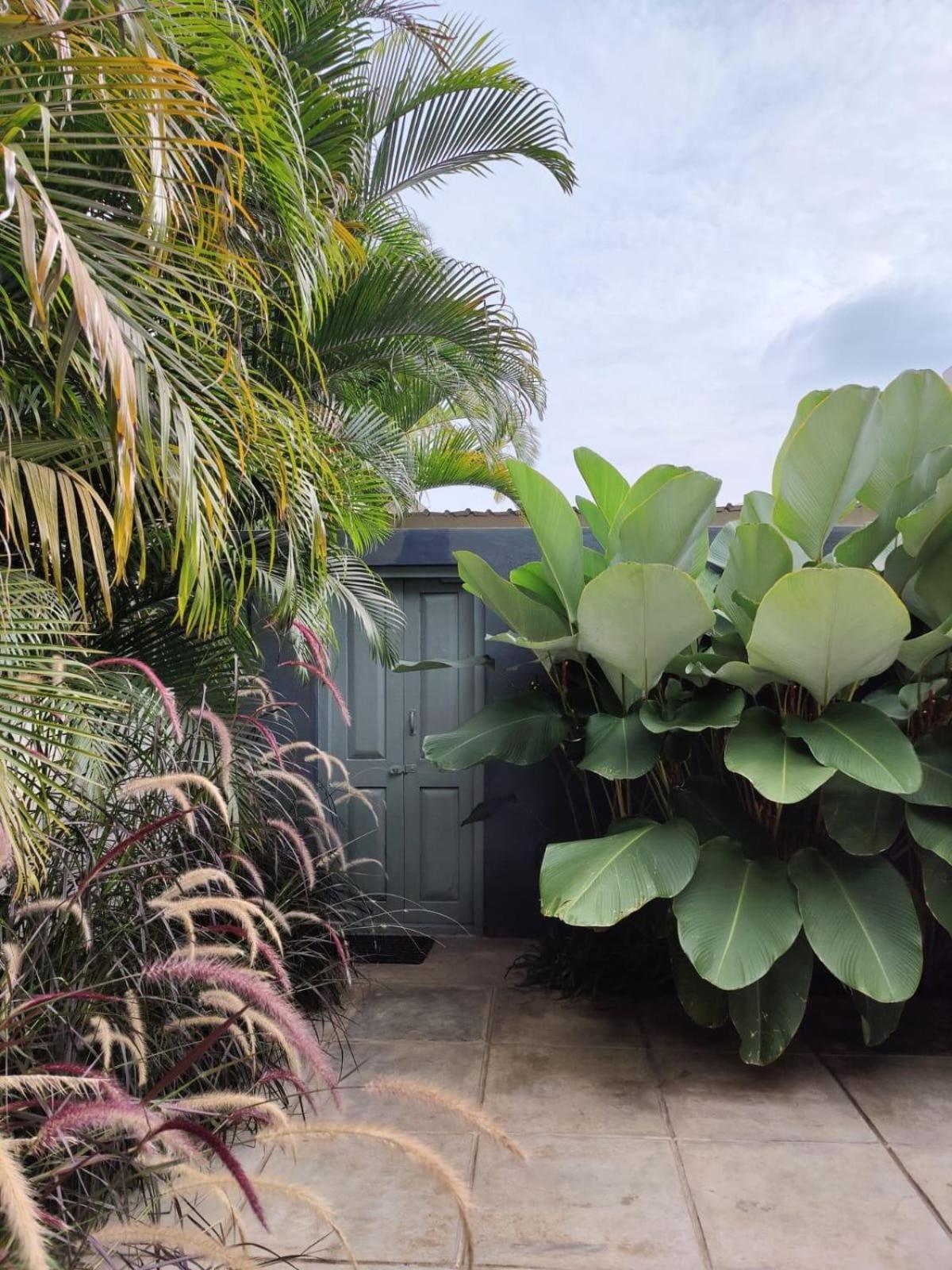 Tropicopia Mysore