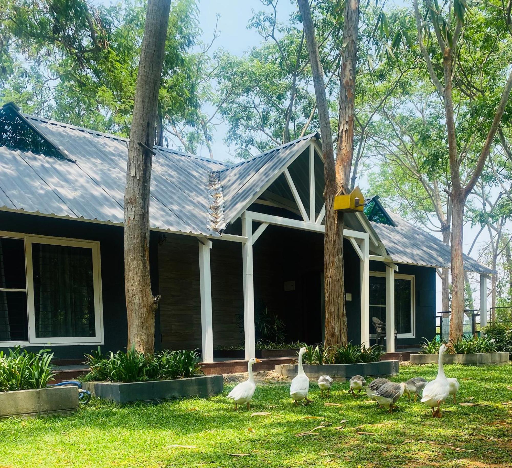 Farm stay Silver Woods Farm *
