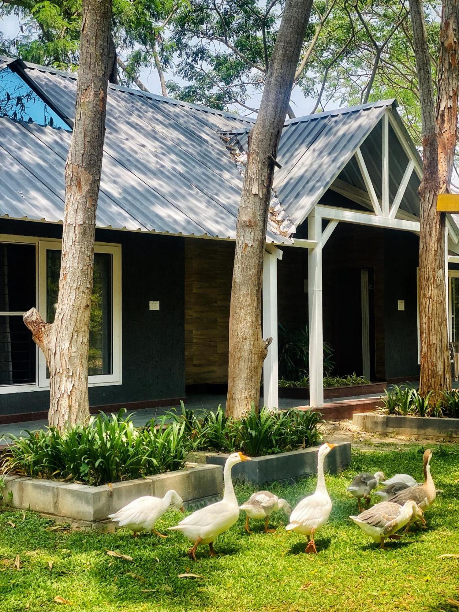 Silver Woods Farm *