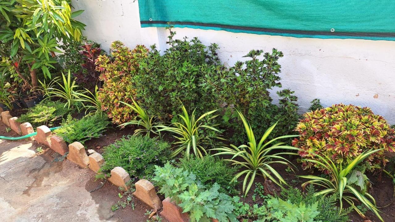 Golden Nest Holiday home Mysore