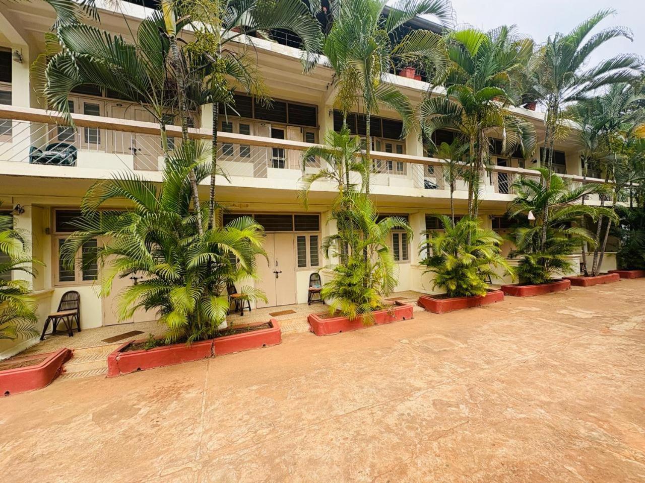 Hotel The 3*