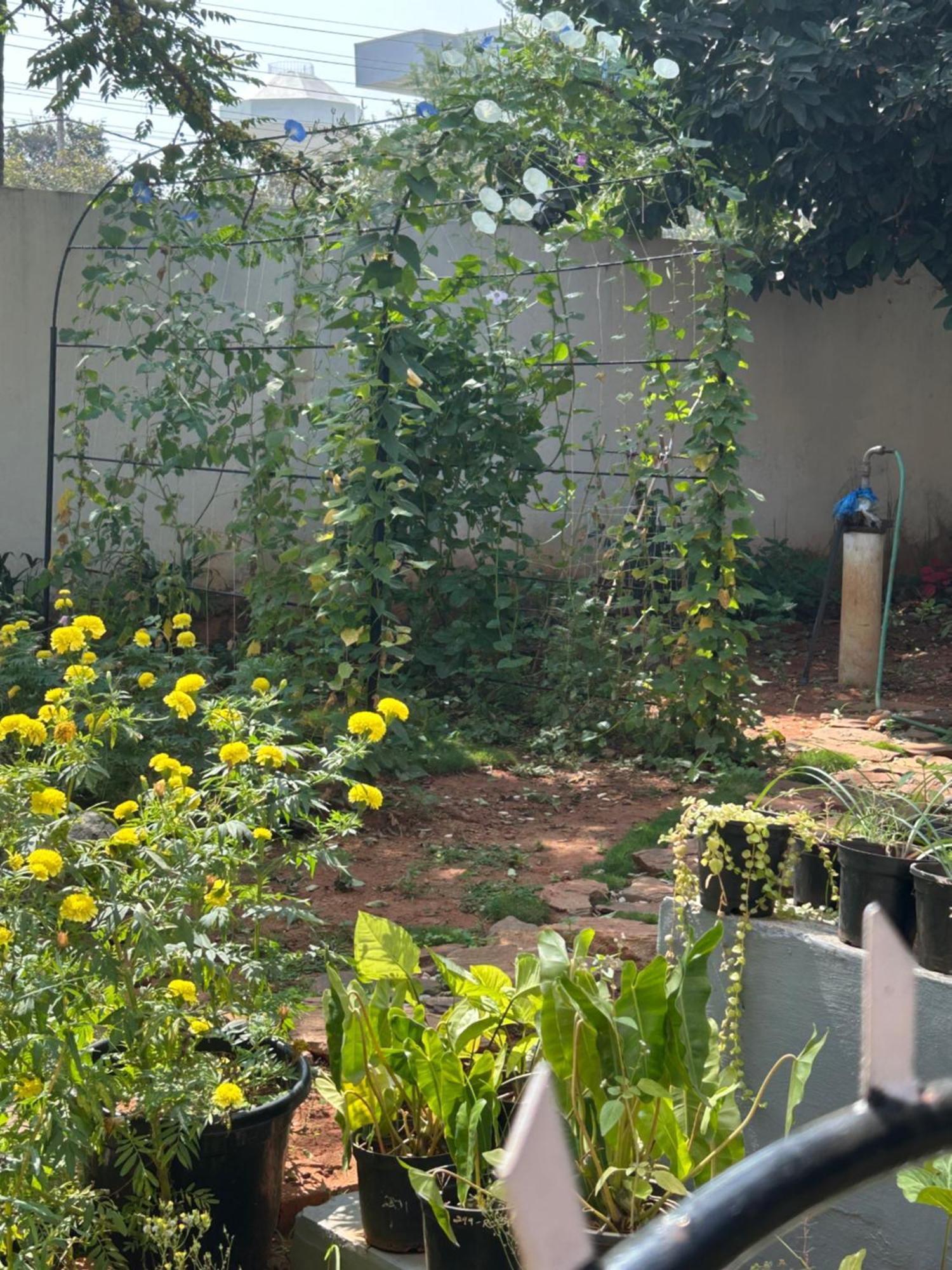 Holiday home Sogni D Oro Mysore