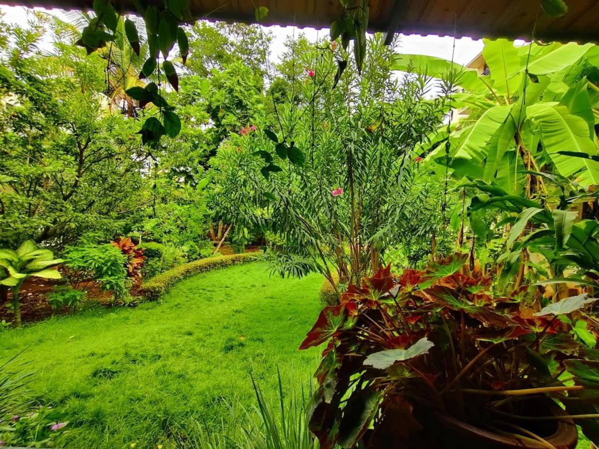Villa Garden Mindfully Laid Out & Furnished *
