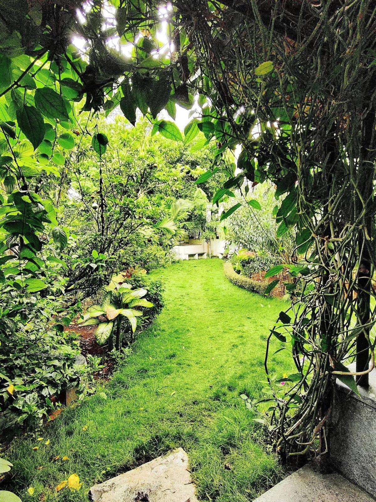 Garden Mindfully Laid Out & Furnished Mysore