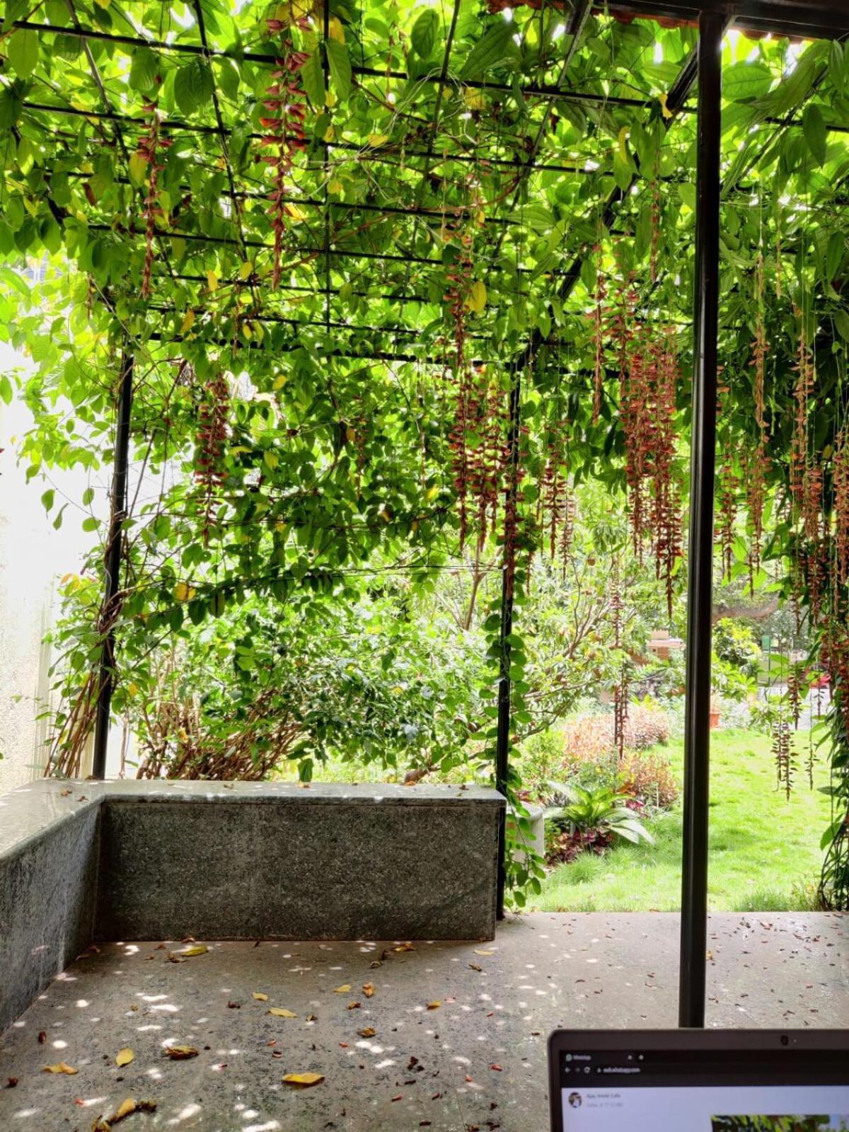 Garden Mindfully Laid Out & Furnished *