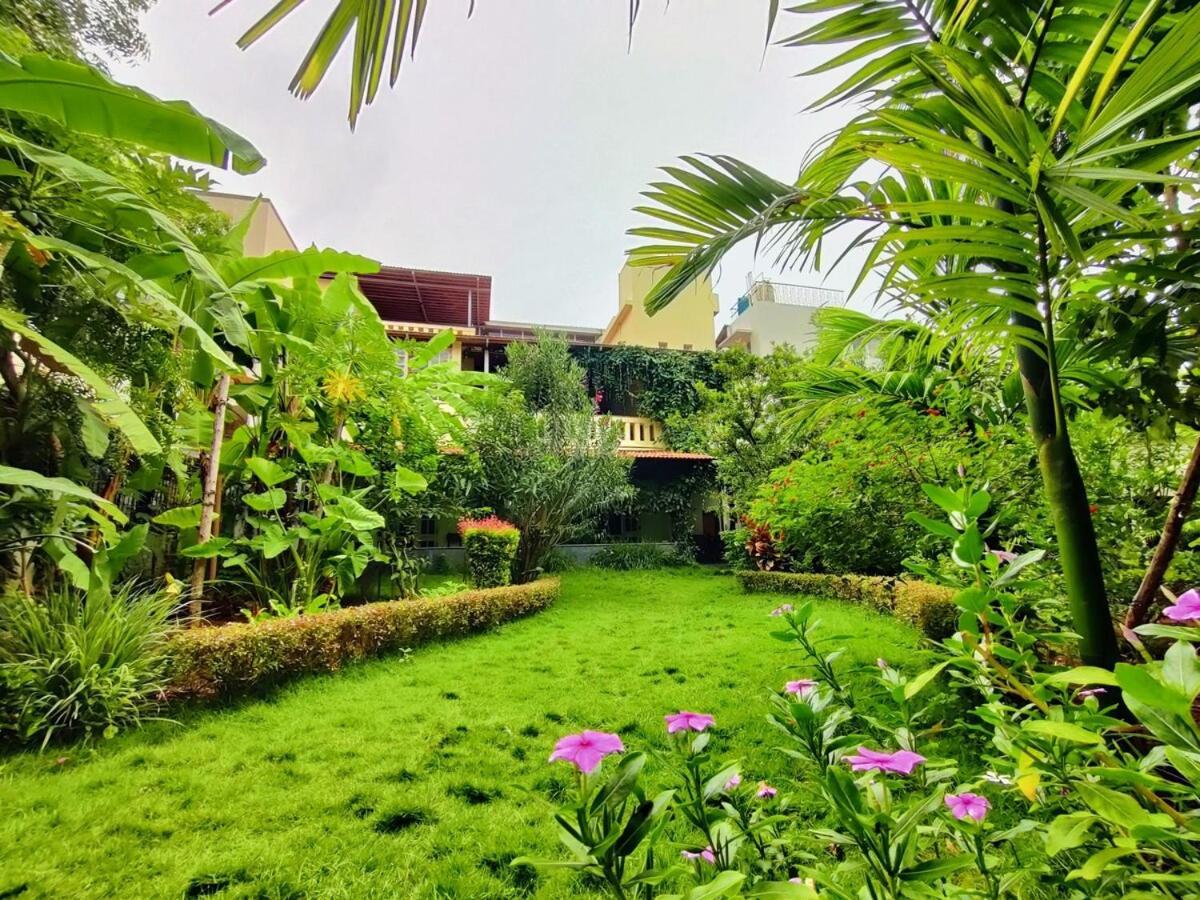 Garden Mindfully Laid Out & Furnished Villa