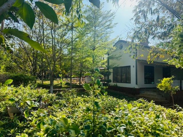1000 Silvers -farm Villa *
