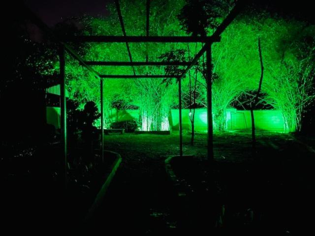 1000 Silvers -farm * Mysore