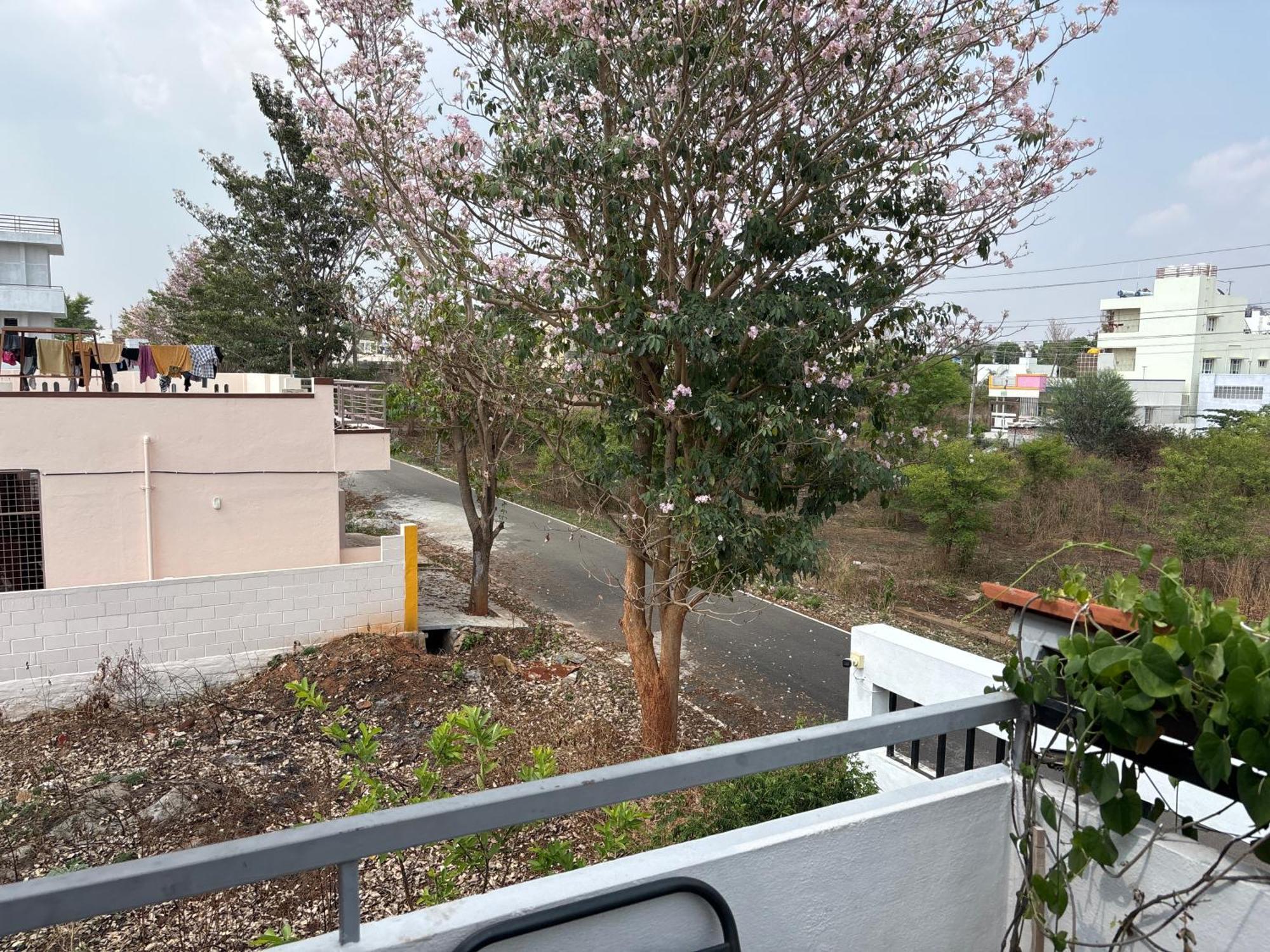 1st Floor 3 Bhk For 12-14 Decent People With Free Parking Villa *