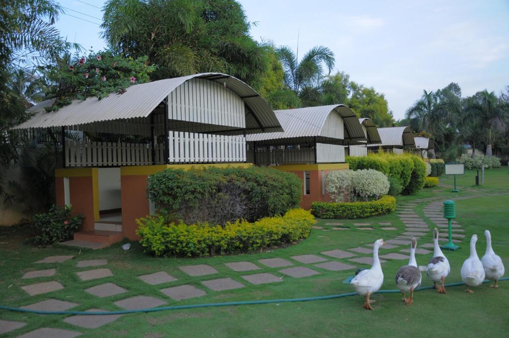 Le Ruchi The Hotel