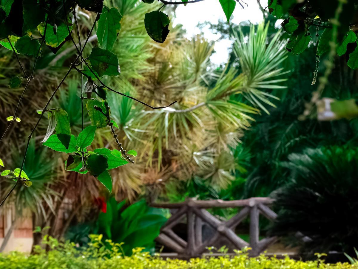 Young Island Resort