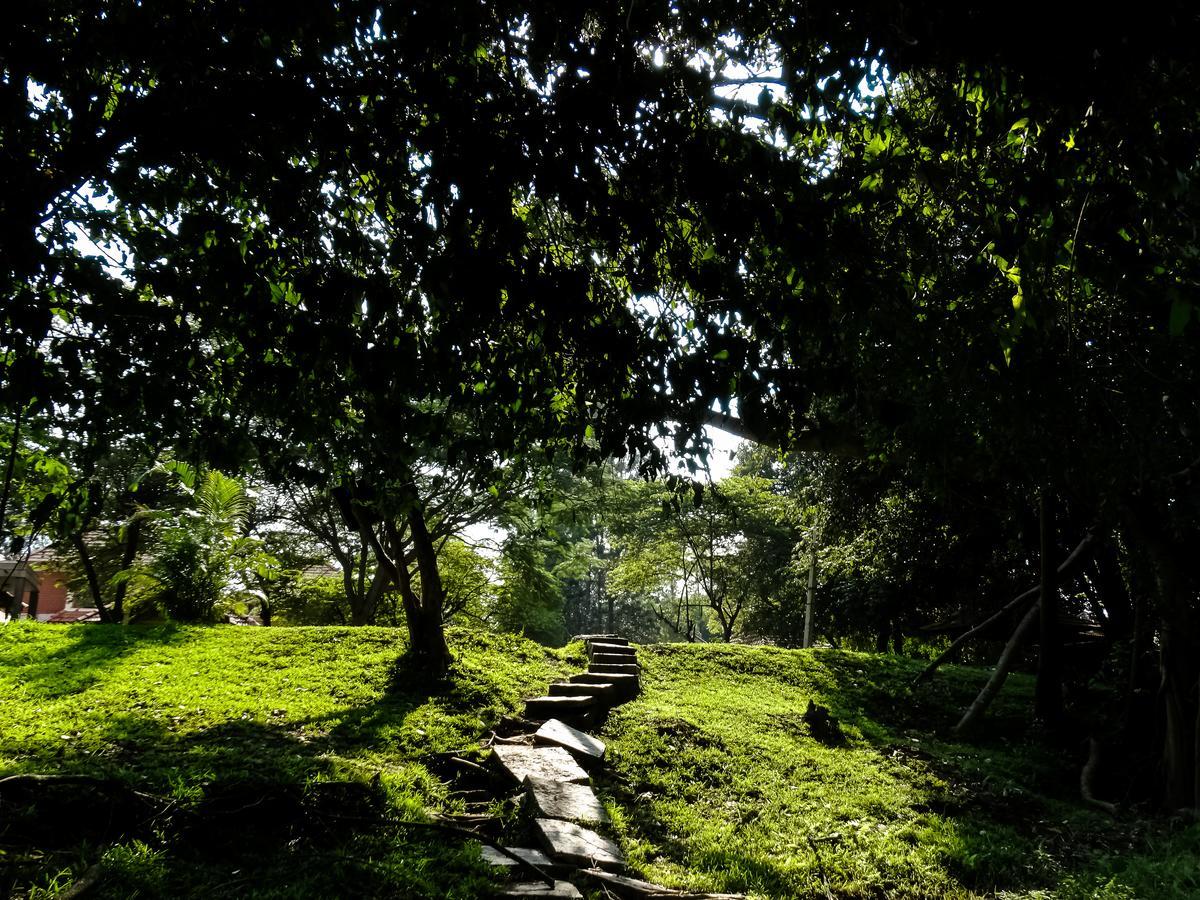 Young Island Mysore