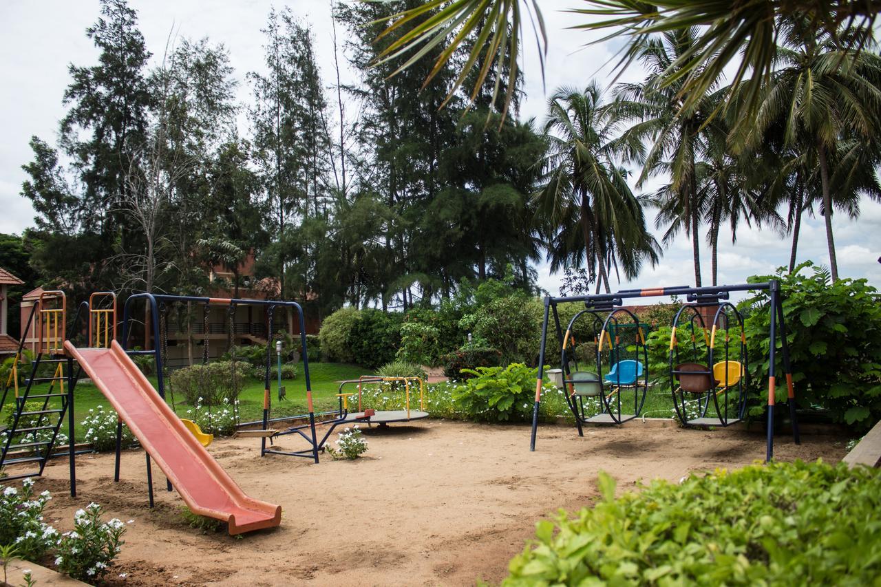 Young Island Mysore