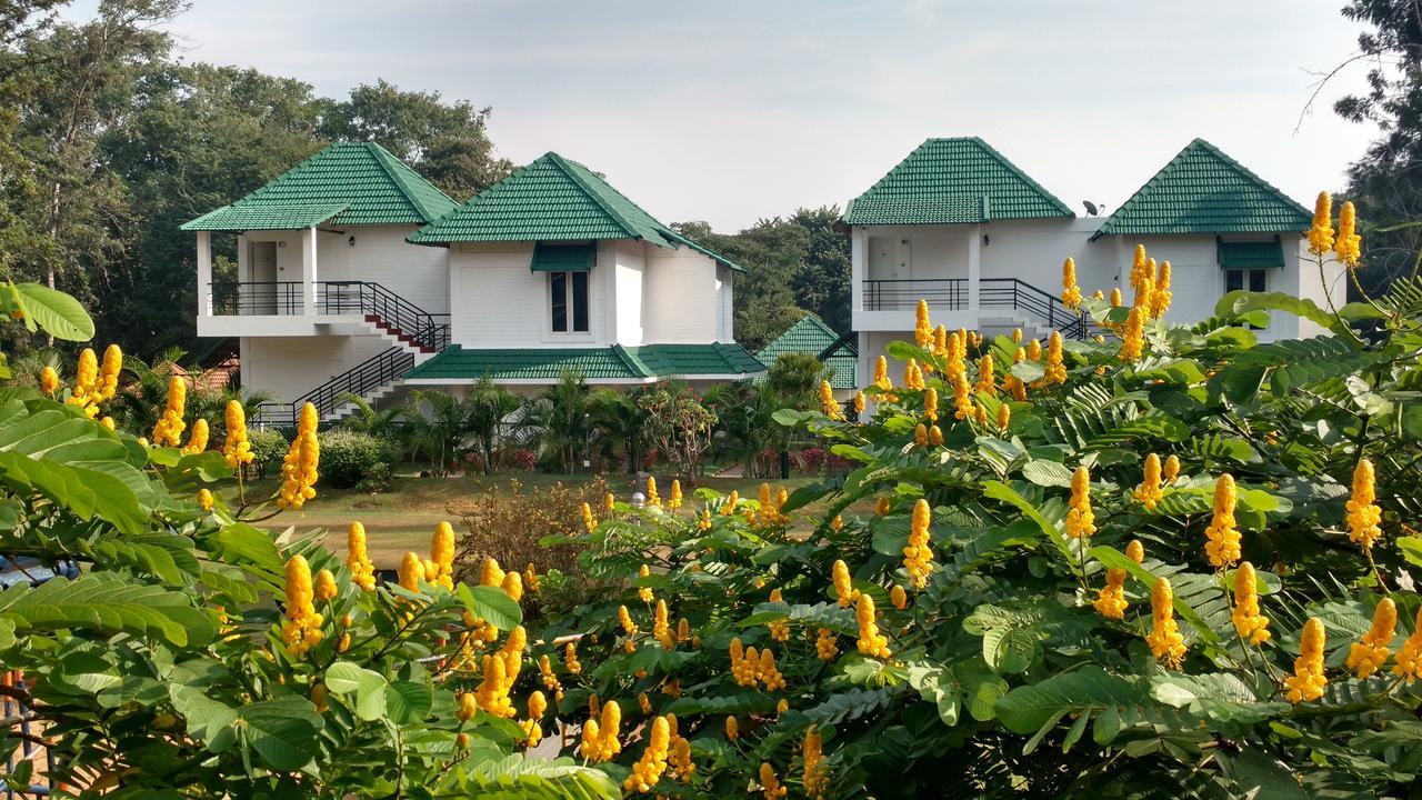Resort Young Island
