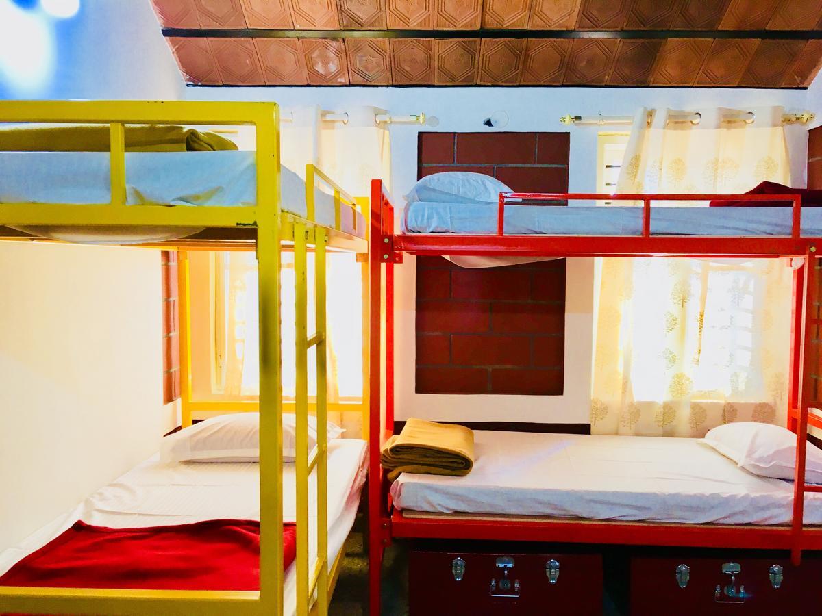 Hostel Hammock