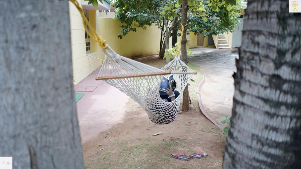 Beehive Commune Hostel *