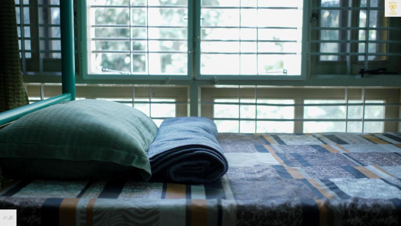 Hostel Beehive Commune