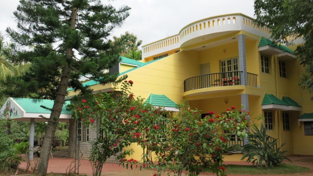 Beehive Commune Hostel *