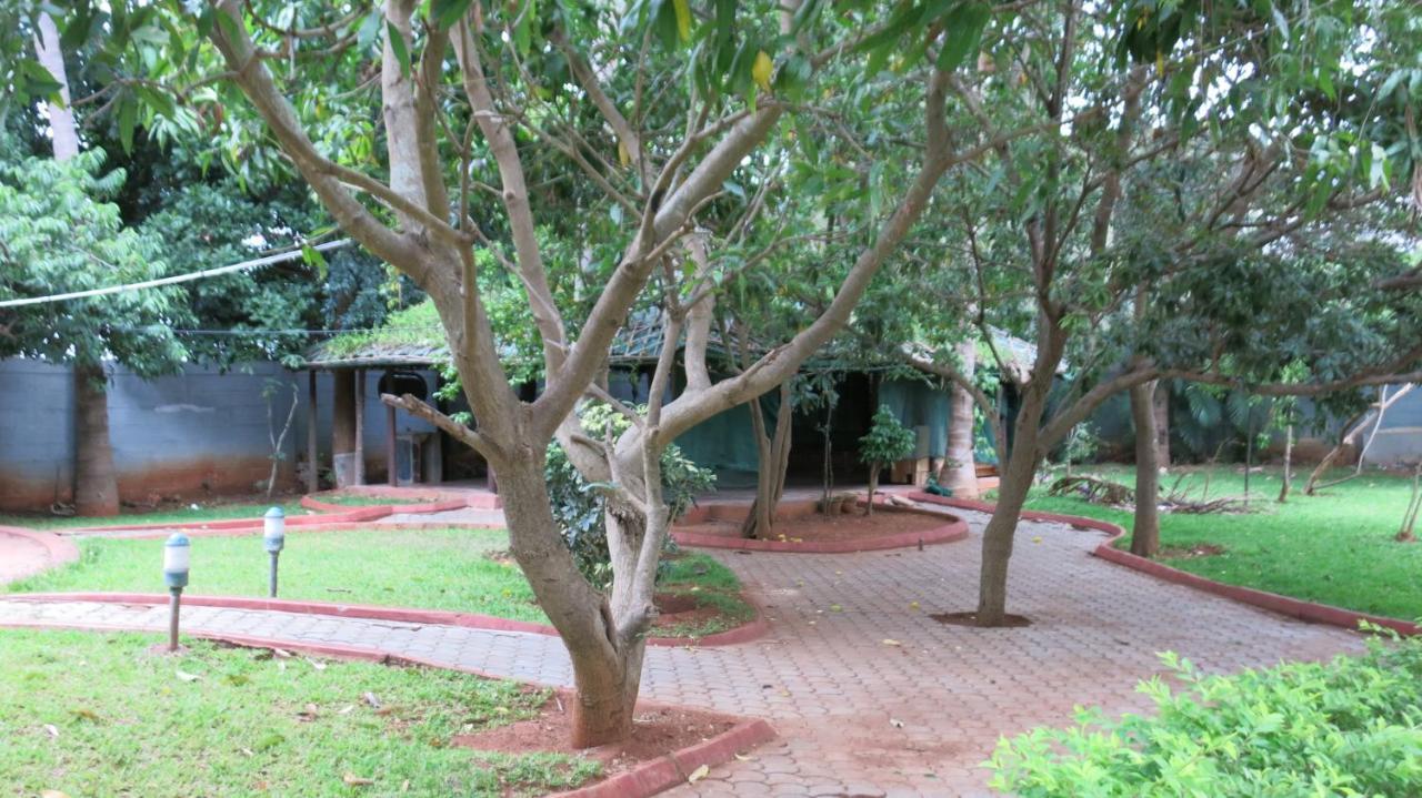 Beehive Commune Hostel